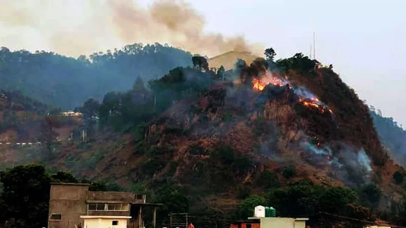 Uttarakhand Forest Fire: बढ़ती गर्मी के साथ जंगल धधकने का सिलसिला जारी, पहाड़ों में 31 स्थानों पर भड़की आ